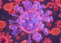 Hantavirus Canada